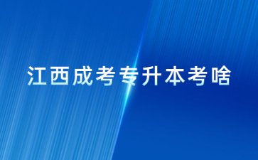 江西成考专升本考啥?