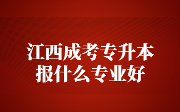 江西成考专升本报什么专业好?