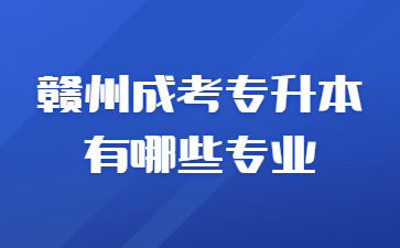 赣州成考专升本有哪些专业