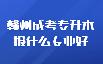 赣州成考专升本报什么专业好